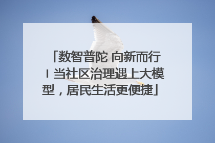 数智普陀 向新而行〡当社区治理遇上大模型，居民生活更便捷