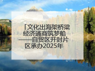 文化出海架桥梁 经济通商筑梦船——自贸区开封片区承办2025年匈牙利文旅交流对接活动专场