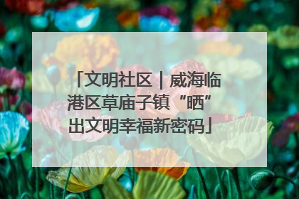 文明社区｜威海临港区草庙子镇“晒”出文明幸福新密码