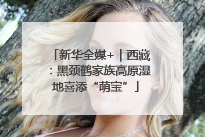 新华全媒+｜西藏：黑颈鹤家族高原湿地喜添“萌宝”