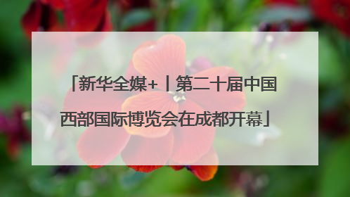 新华全媒+丨第二十届中国西部国际博览会在成都开幕