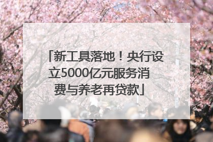 新工具落地！央行设立5000亿元服务消费与养老再贷款