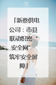新蔡供电公司：市县联动织密“安全网” 筑牢安全屏障