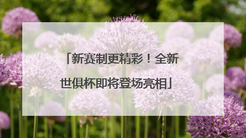 新赛制更精彩！全新世俱杯即将登场亮相