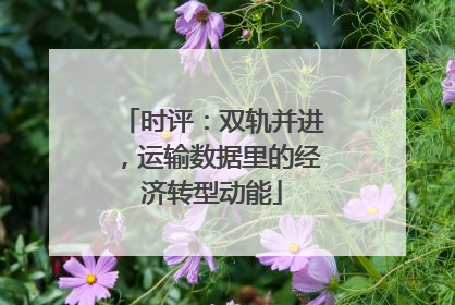 时评：双轨并进，运输数据里的经济转型动能