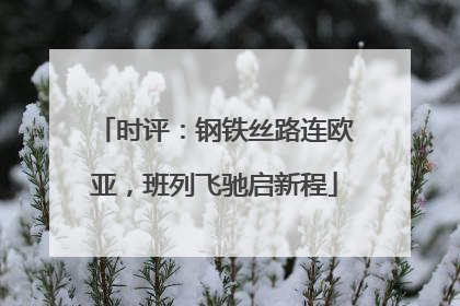 时评：钢铁丝路连欧亚，班列飞驰启新程