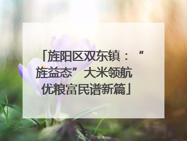 旌阳区双东镇：“旌益态”大米领航 优粮富民谱新篇