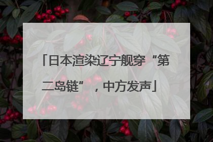 日本渲染辽宁舰穿“第二岛链”，中方发声
