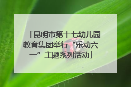 昆明市第十七幼儿园教育集团举行“乐动六一”主题系列活动