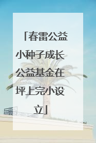 春雷公益小种子成长公益基金在坪上完小设立