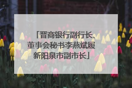 晋商银行副行长、董事会秘书李燕斌履新阳泉市副市长