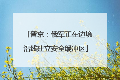 普京：俄军正在边境沿线建立安全缓冲区