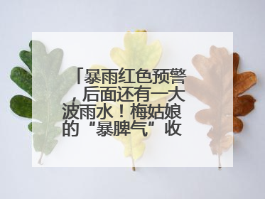 暴雨红色预警，后面还有一大波雨水！梅姑娘的“暴脾气”收敛要再等等