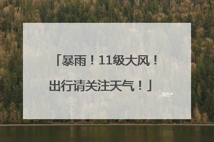 暴雨！11级大风！出行请关注天气！