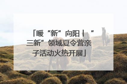 暖“新”向阳丨“三新”领域夏令营亲子活动火热开展