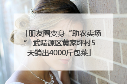 朋友圈变身“助农卖场” 武陵源区黄家坪村5天销出4000斤包菜