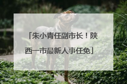朱小青任副市长！陕西一市最新人事任免