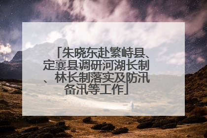 朱晓东赴繁峙县、定襄县调研河湖长制、林长制落实及防汛备汛等工作