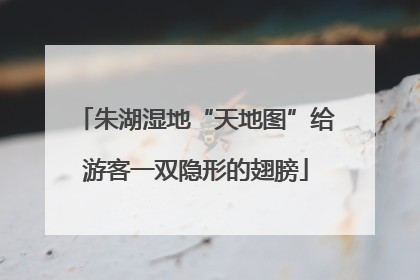 朱湖湿地“天地图”给游客一双隐形的翅膀