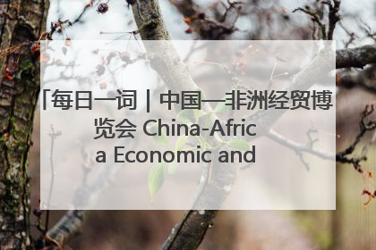 每日一词｜中国—非洲经贸博览会 China-Africa Economic and Trade Expo