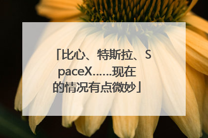 比心、特斯拉、SpaceX……现在的情况有点微妙