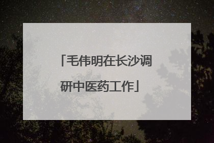 毛伟明在长沙调研中医药工作