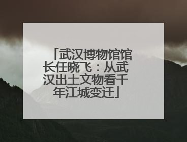 武汉博物馆馆长任晓飞：从武汉出土文物看千年江城变迁