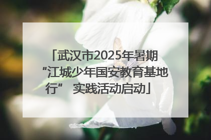 武汉市2025年暑期“江城少年国安教育基地行” 实践活动启动