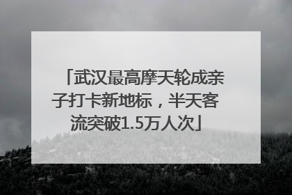 武汉最高摩天轮成亲子打卡新地标，半天客流突破1.5万人次