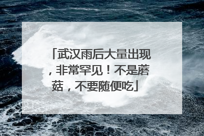 武汉雨后大量出现，非常罕见！不是蘑菇，不要随便吃