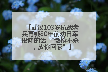 武汉103岁抗战老兵再喊80年前劝日军投降的话 “缴枪不杀，放你回家”