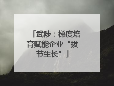 武陟：梯度培育赋能企业“拔节生长”