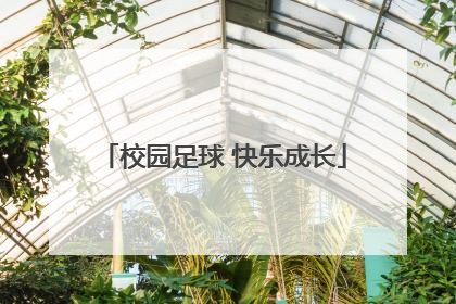 校园足球 快乐成长