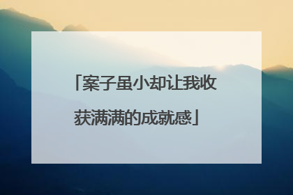 案子虽小却让我收获满满的成就感
