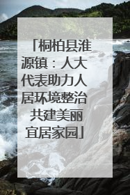 桐柏县淮源镇：人大代表助力人居环境整治 共建美丽宜居家园