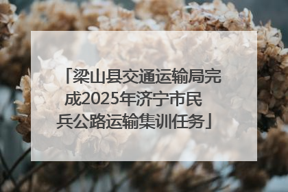 梁山县交通运输局完成2025年济宁市民兵公路运输集训任务