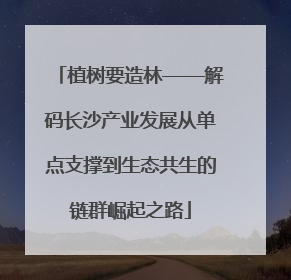 植树要造林——解码长沙产业发展从单点支撑到生态共生的链群崛起之路