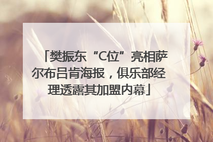 樊振东“C位”亮相萨尔布吕肯海报，俱乐部经理透露其加盟内幕