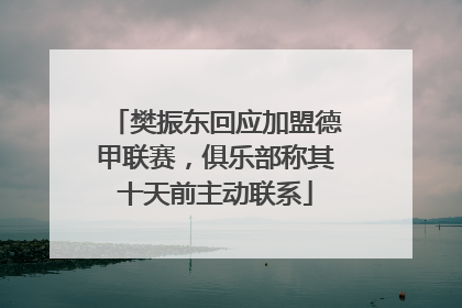 樊振东回应加盟德甲联赛，俱乐部称其十天前主动联系