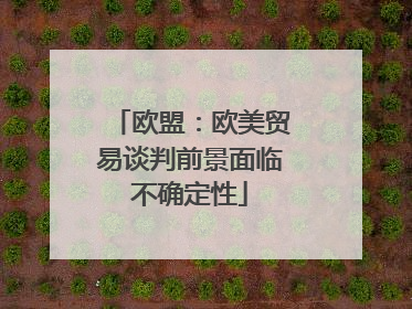 欧盟：欧美贸易谈判前景面临不确定性