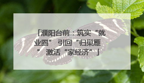 濮阳台前：筑实“就业圈” 引回“归巢雁” 激活“家经济”