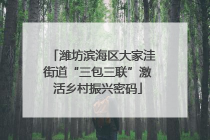 潍坊滨海区大家洼街道“三包三联”激活乡村振兴密码