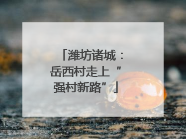 潍坊诸城：岳西村走上“强村新路”