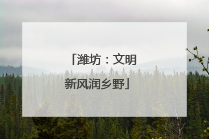 潍坊：文明新风润乡野