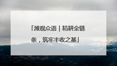 潍观众语｜精耕全链条，筑牢丰收之基