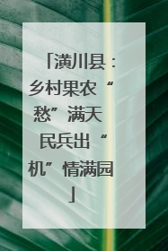 潢川县：乡村果农“愁”满天  民兵出“机”情满园