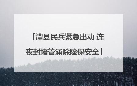澧县民兵紧急出动 连夜封堵管涌除险保安全