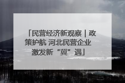 民营经济新观察｜政策护航 河北民营企业激发新“冀”遇