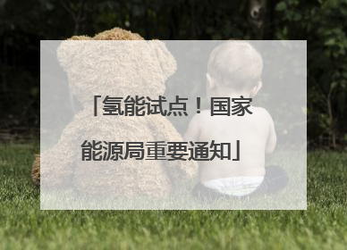 氢能试点！国家能源局重要通知