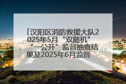 汉阳区消防救援大队2025年5月“双随机”、“一公开”监督抽查结果及2025年6月监督抽查任务公示